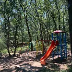 Milushevi